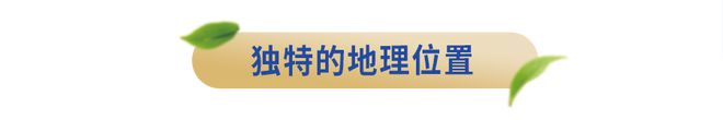 半岛官方体育来自邦度级生态牧场限度贺兰山产区的夏进爵品牛奶500箱免费送～(图3)