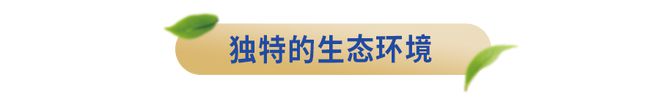 半岛官方体育来自邦度级生态牧场限度贺兰山产区的夏进爵品牛奶500箱免费送～(图4)